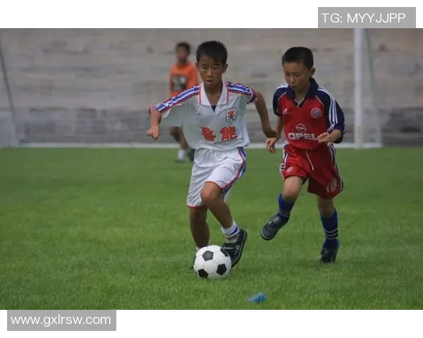 足球星达人揭秘足坛传奇 追寻足球梦与荣耀的无限可能