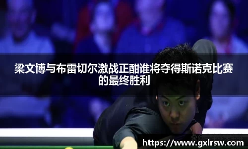 梁文博与布雷切尔激战正酣谁将夺得斯诺克比赛的最终胜利