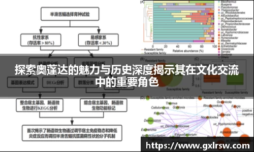 rb88体育官网